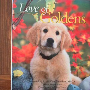 HARDCOVER SOFA BOOK LOVE OF GOLDENS, TODD BERGER, FOR GOLDEN RETRIEVER LOVERS